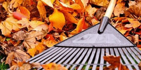 Oblíbení listy v chatě: nejlepší možnosti pro použití přírodního materiálu